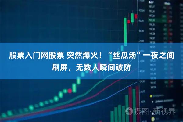 股票入门网股票 突然爆火！“丝瓜汤”一夜之间刷屏，无数人瞬间破防