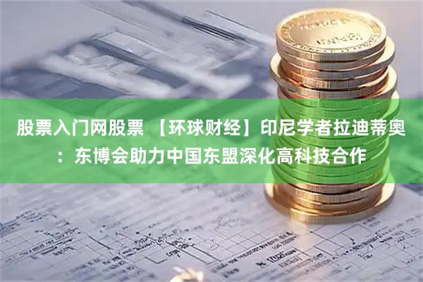 股票入门网股票 【环球财经】印尼学者拉迪蒂奥：东博会助力中国东盟深化高科技合作