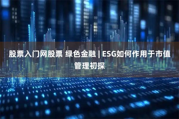 股票入门网股票 绿色金融 | ESG如何作用于市值管理初探
