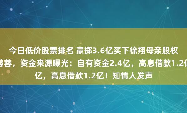 今日低价股票排名 豪掷3.6亿买下徐翔母亲股权的神秘女子李蓉蓉,资金来源曝光:自有资金2.4亿,高息借款1.2亿!知情人发声